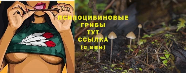 мескалин Аркадак